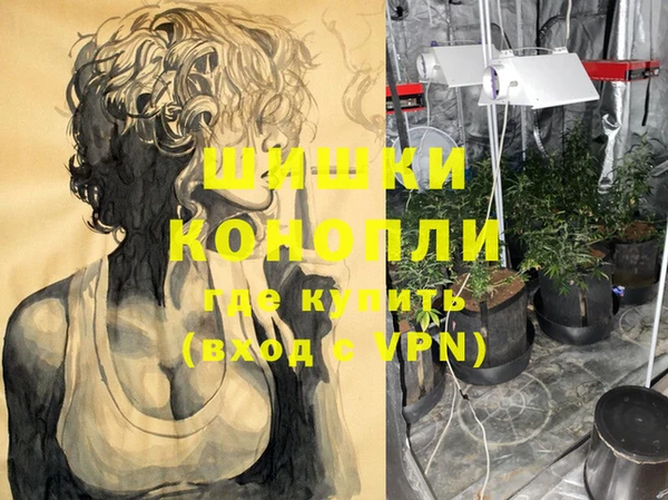 крисы Лагань